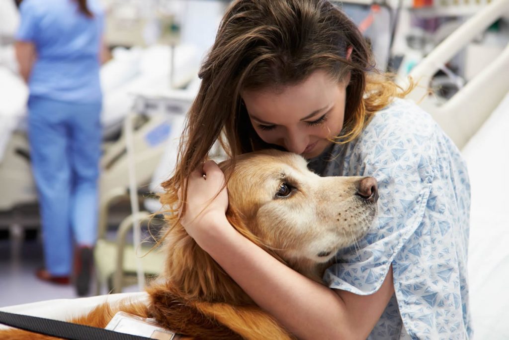 Θεραπεία με τη Βοήθεια Ζώων (Pet therapy)